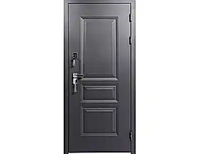 Входная уличная дверь Зима П